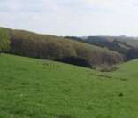 Colina Kneiff: ponto mais alto do território de Luxemburgo